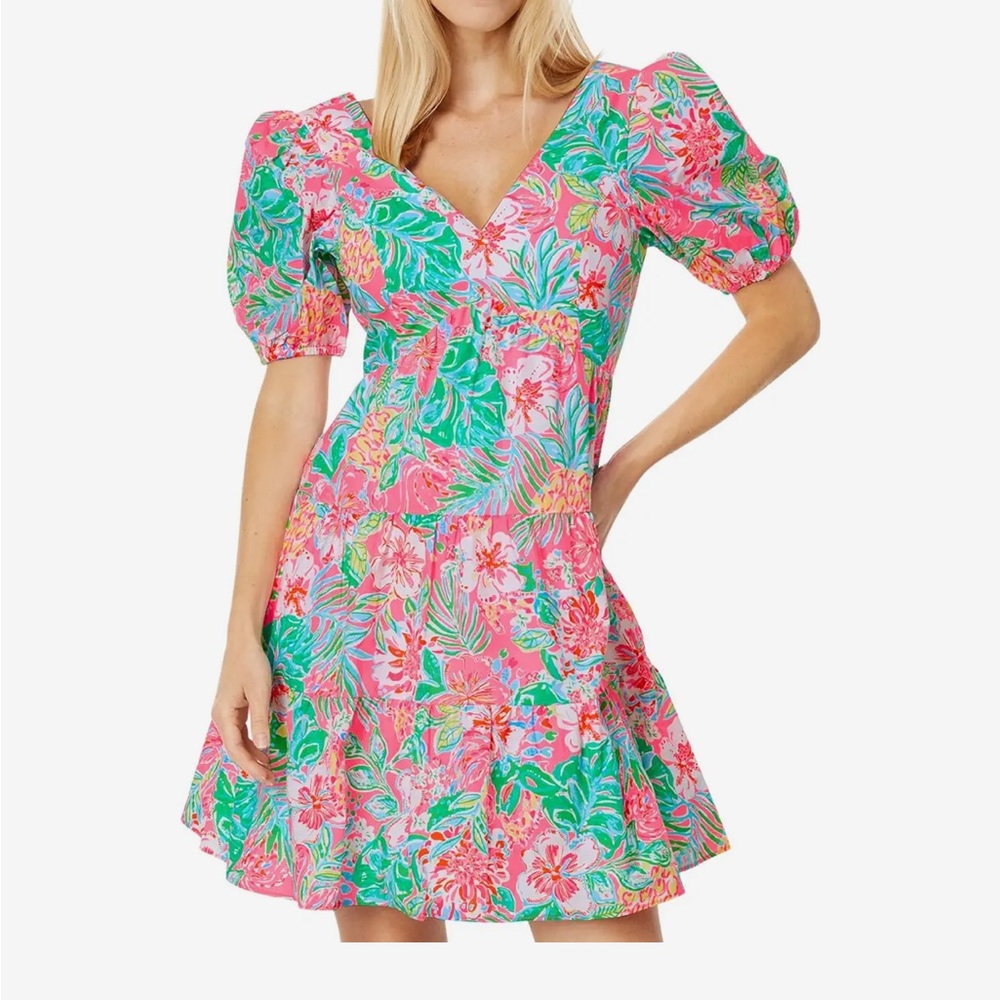 Lilly Pulitzer Pink and Green Floral Dress